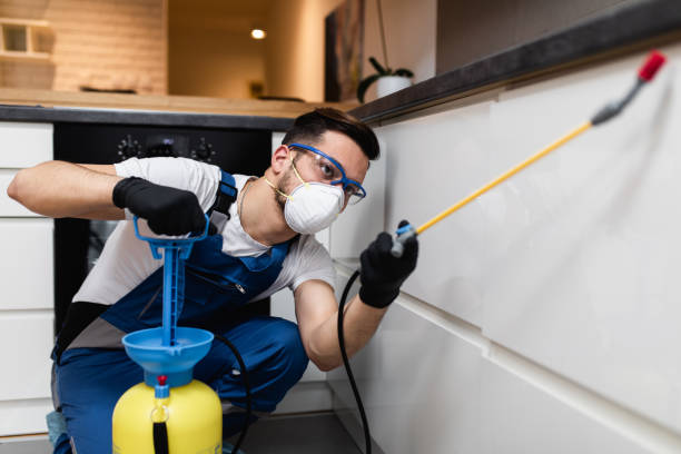 Best Local Pest Control Services  in Hayti, PA