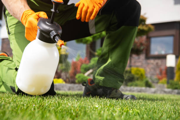 Best Emergency Pest Control  in Hayti, PA
