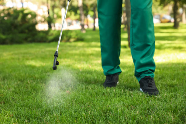 Best Emergency Pest Control  in Hayti, PA