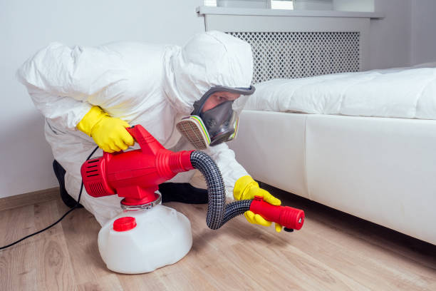 Best Best Pest Control Companies  in Hayti, PA