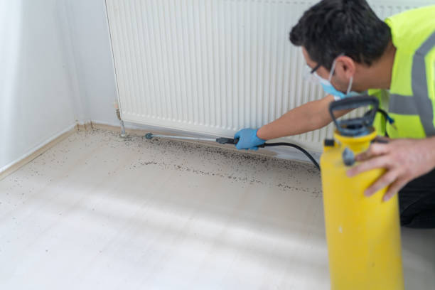 Best Cockroach Control Services  in Hayti, PA